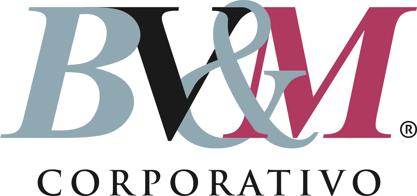 profile-BV&M CORPORATIVO